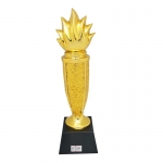 trophy philippines 9